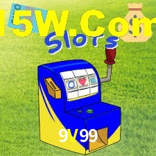 Programa VIP 9V99